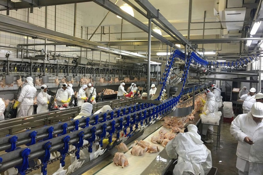 Cresta Roja "es de los trabajadores"