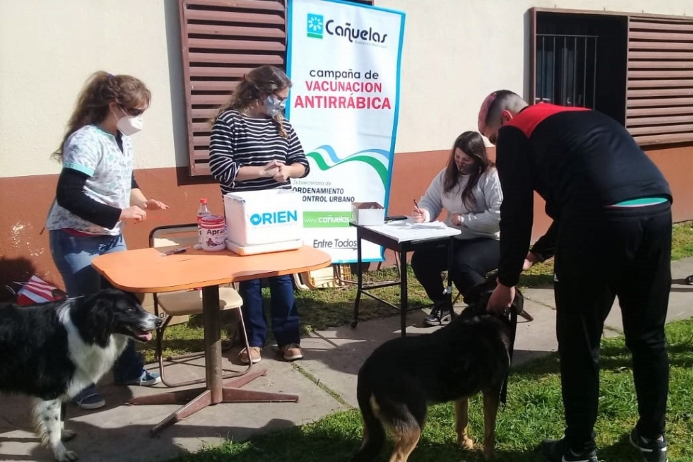Dos mascotas esperando la aplicaci&oacute;n de la dosis antirr&aacute;bica.