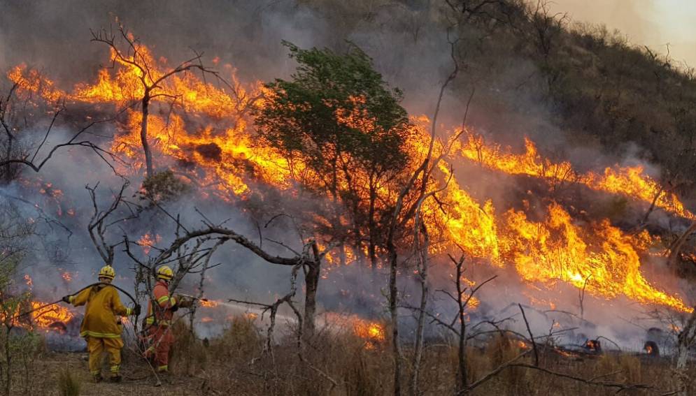 La Provincia de C&oacute;rdoba declar&oacute; el desastre agropecuario por incendios.