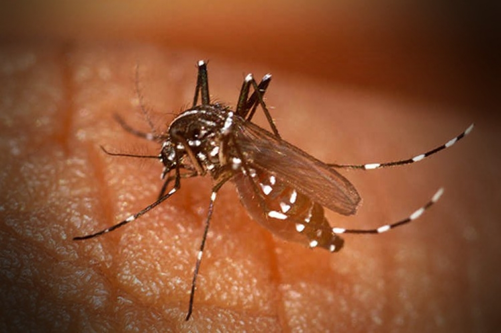 Por el momento no hay casos en Ca&ntilde;uelas. 