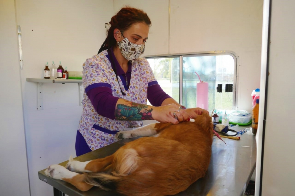 El quir&oacute;fano m&oacute;vil atender&aacute; el lunes 14.