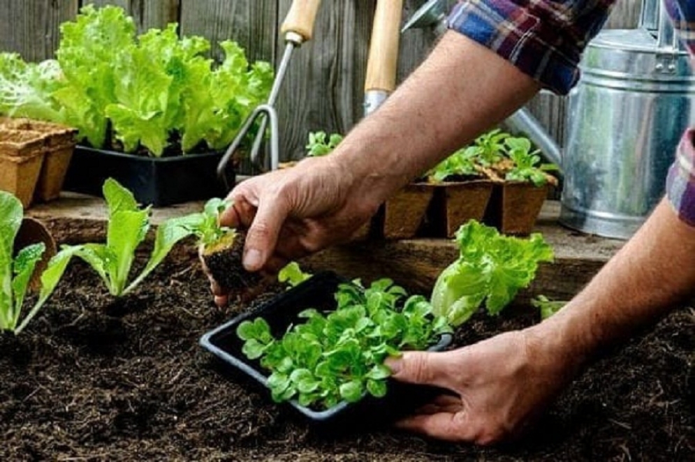 El titular de la cartera municipal es uno de los referentes de la Casa de Todos.
