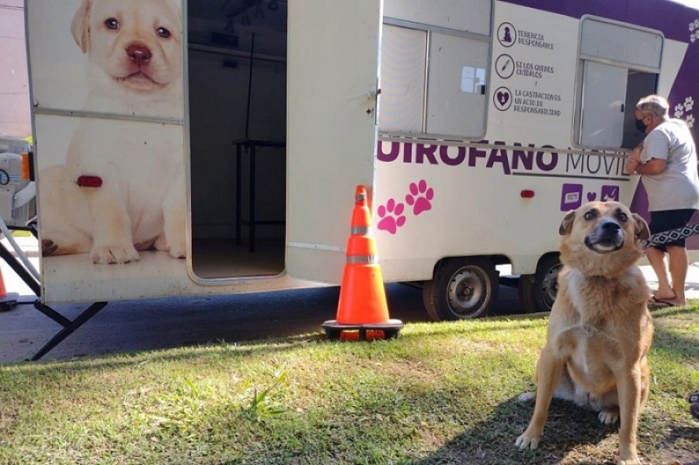 Postal de operativos anteriores.