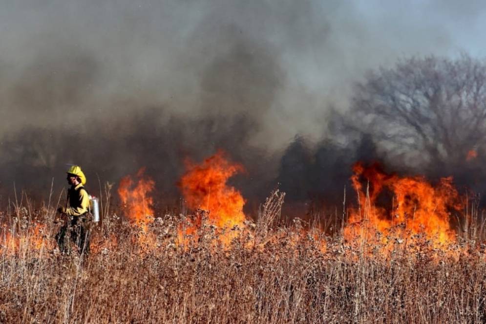 Se han dado hasta 15 intervenciones diarias.