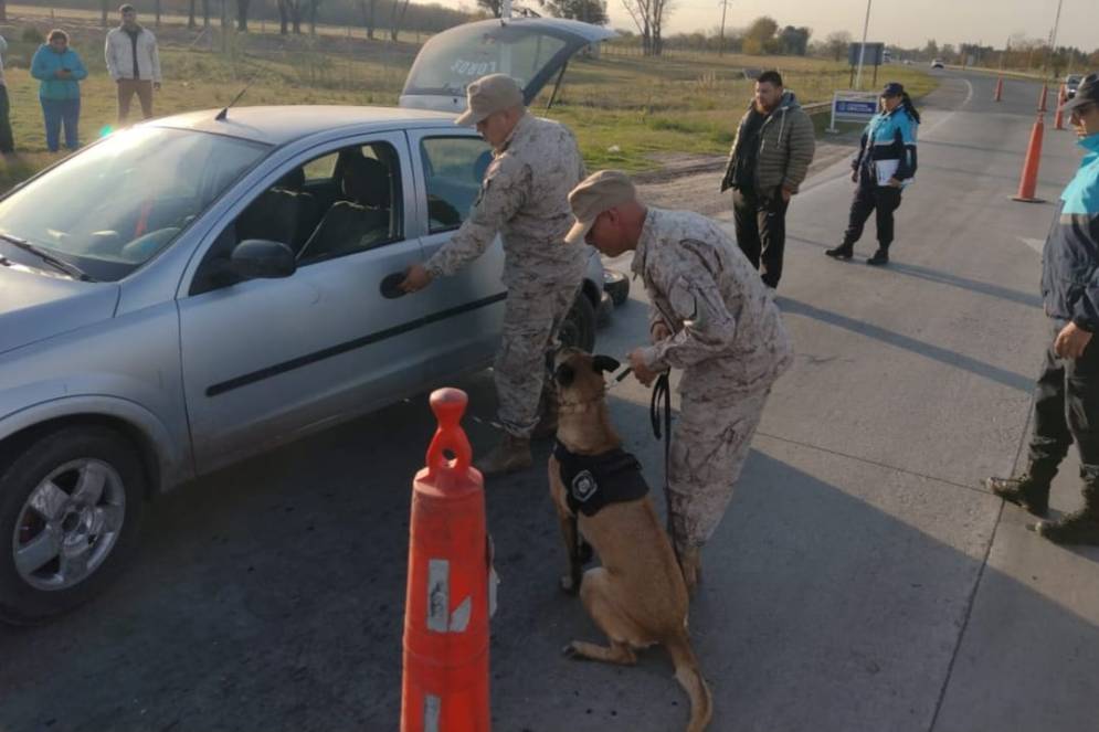 Se inspeccionaron 217 veh&iacute;culos particulares, 16 motos y 9 micros.