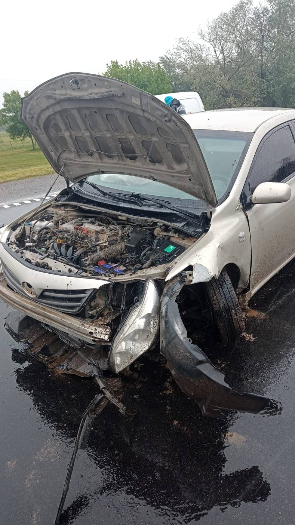 La trompa qued&oacute; destruida.