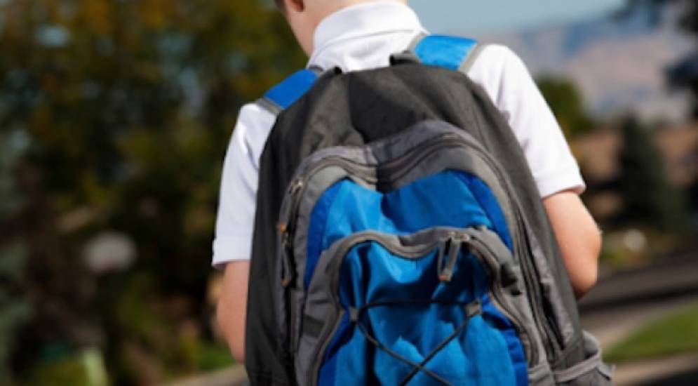 Un chico de 30 kilos, podr&iacute;a soportar como m&aacute;ximo una mochila de 3 kilos. 