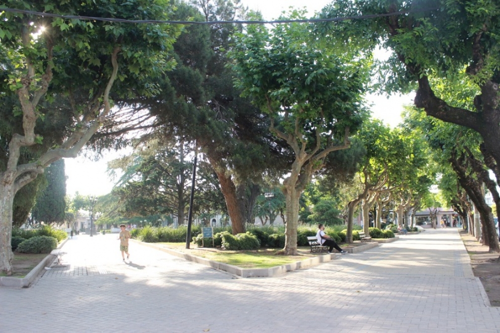 La tarde de mi&eacute;rcoles no modific&oacute; su calma habitual.