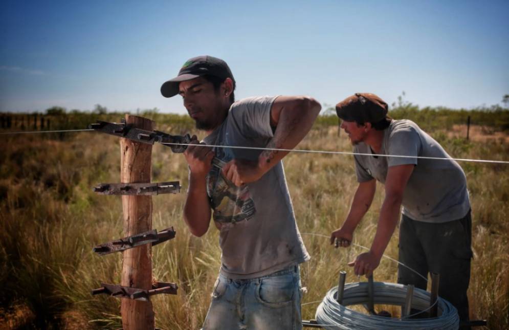 Se cursar&aacute; lunes y mi&eacute;rcoles, de 17:00 a 19:40.