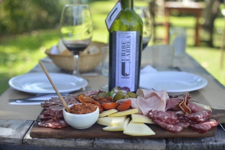 &iquest;De que se trata "Camino del Vino"?