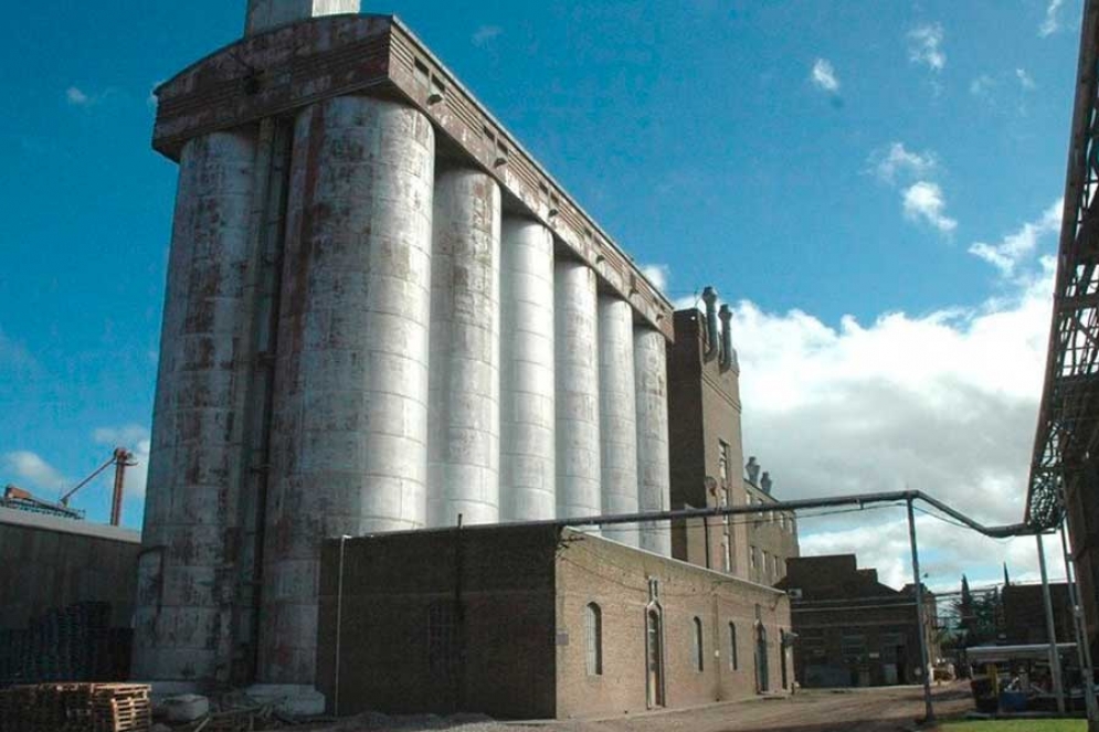 Por la "incertidumbre en la econom&iacute;a", Molino Ca&ntilde;uelas posterg&oacute; su salida a la bolsa