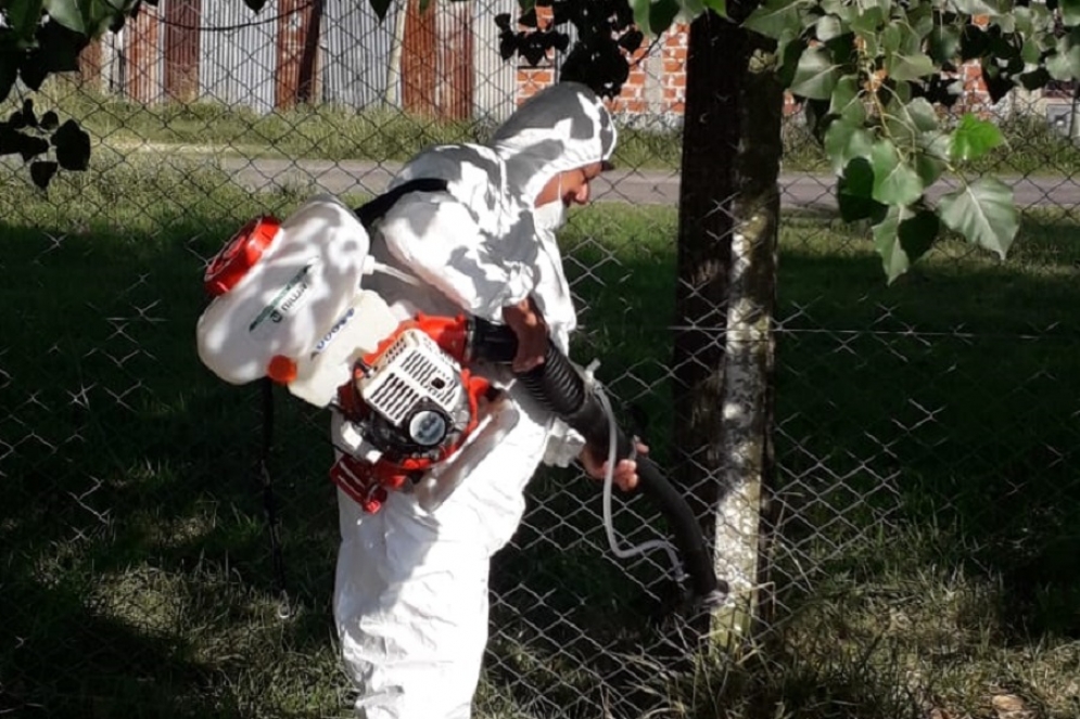Los especialistas trabajando en las dependencias p&uacute;blicas. 