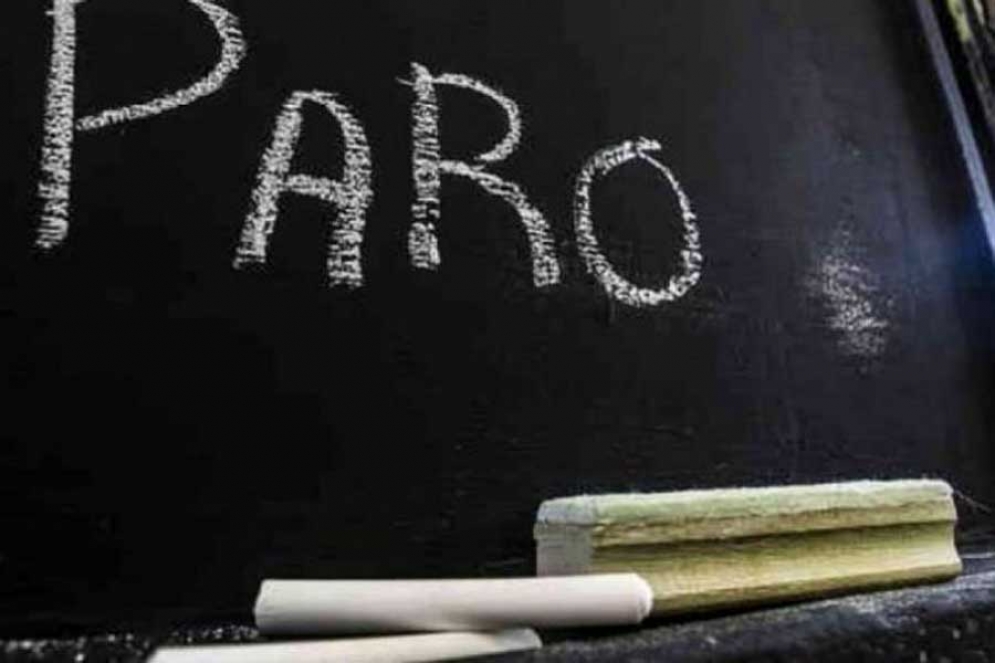 Alto acatamiento al paro docente en Ca&ntilde;uelas