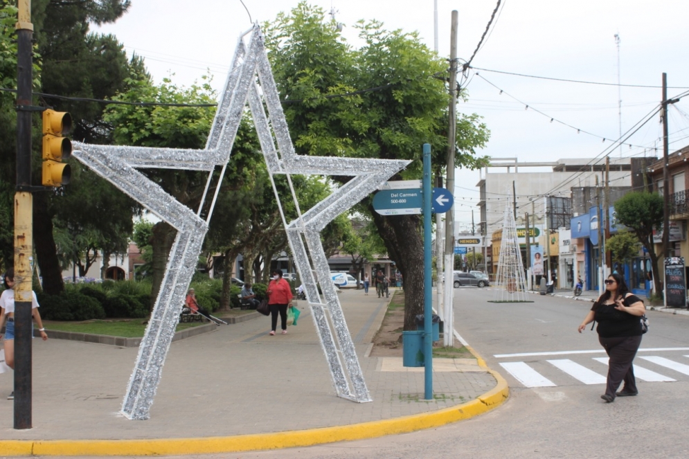 El &aacute;rbol de fondo y una estrella fugaz en la esquina del municipio.
