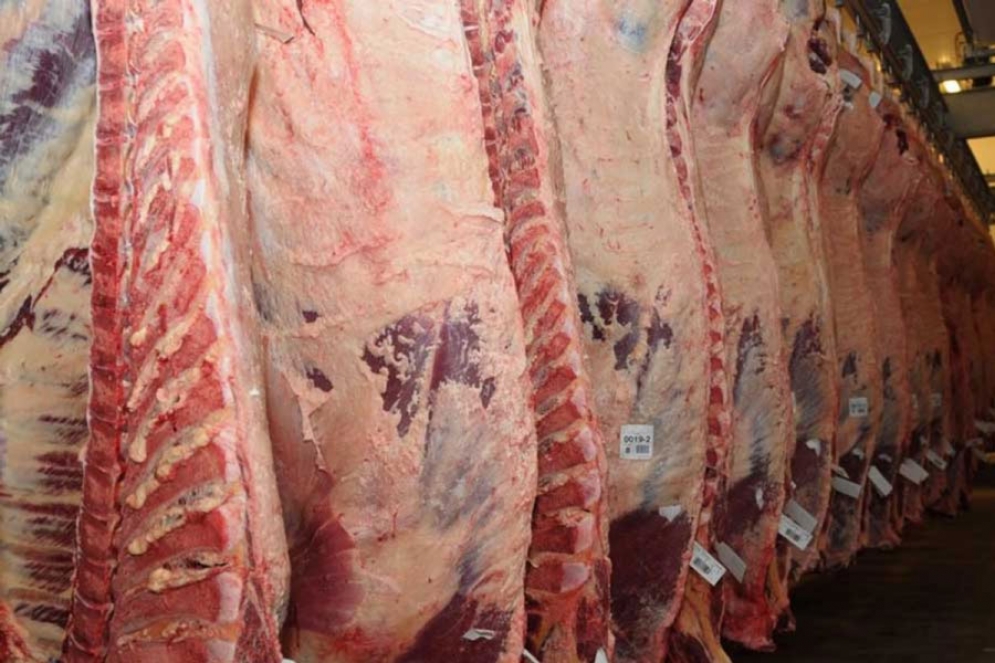 Im&aacute;gen ilustrativa