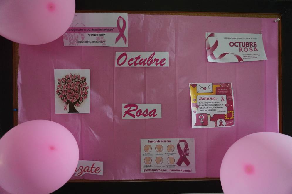 La campa&ntilde;a para la detecci&oacute;n temprana lleg&oacute; al Consejo Escolar.