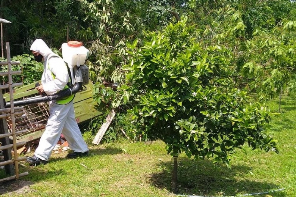 Veneno y pared&oacute;n, la soluci&oacute;n para exterminar las ara&ntilde;as del B&deg; Libertad