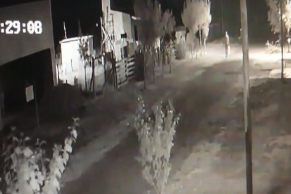 El delincuente captado por las c&aacute;maras de seguridad.