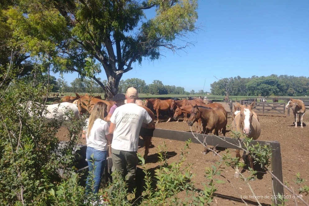 El sindicato realiz&oacute; el operativo de inspecci&oacute;n el pasado martes. 