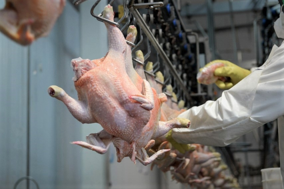 Hasta este lunes al mediod&iacute;a, Supremo no recibi&oacute; ninguna inspecci&oacute;n. 