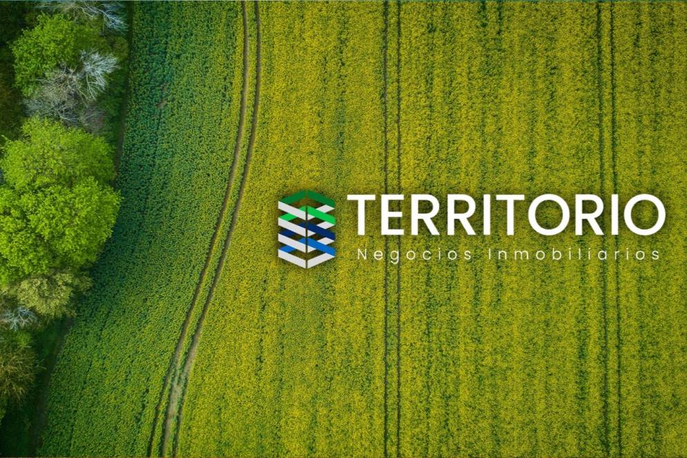"Territorio" posee su oficina en Lara N&deg;481.