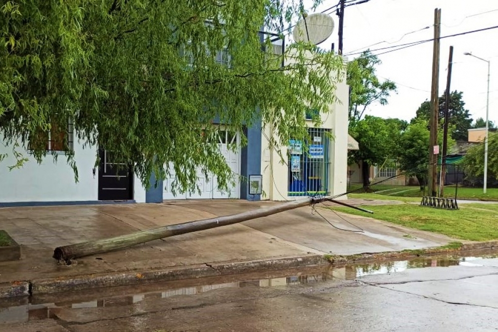 El temporal de la madrugada derrib&oacute; postes y ramas