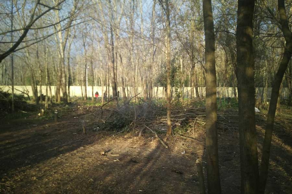 El Monte Las Violetas ya fue desalojado y comenzaron con los trabajos de limpieza. 