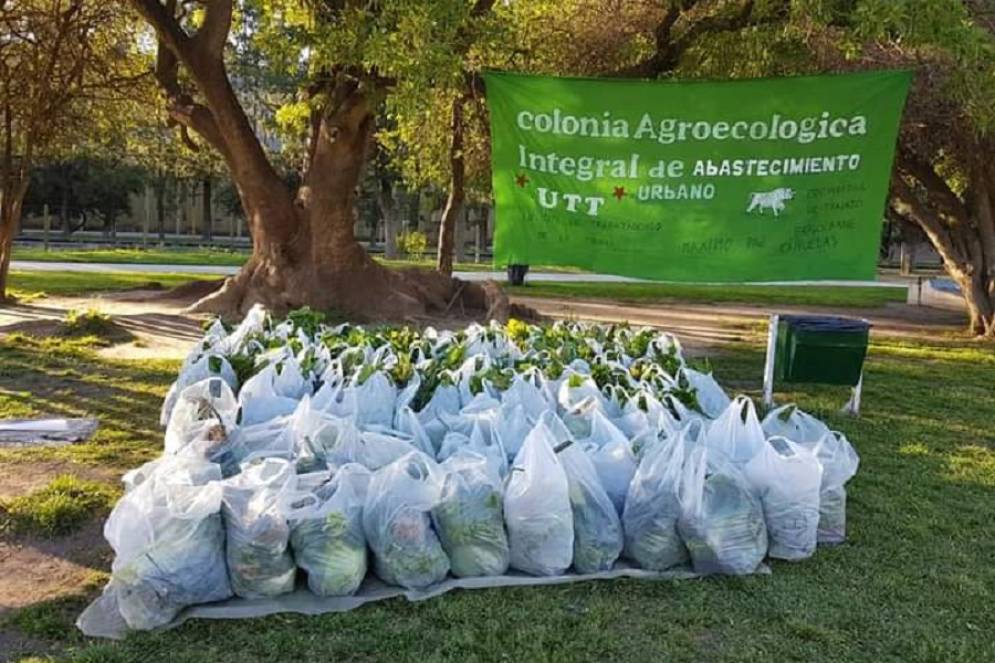 El bols&oacute;n tendr&aacute; productos como: acelga, puerro, perejil, lechuga, morr&oacute;n, remolacha y choclo.