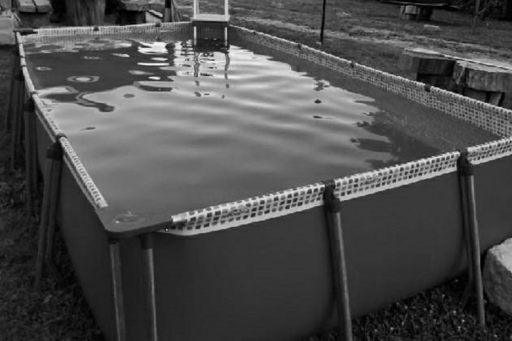 Im&aacute;gen ilustrativa. 