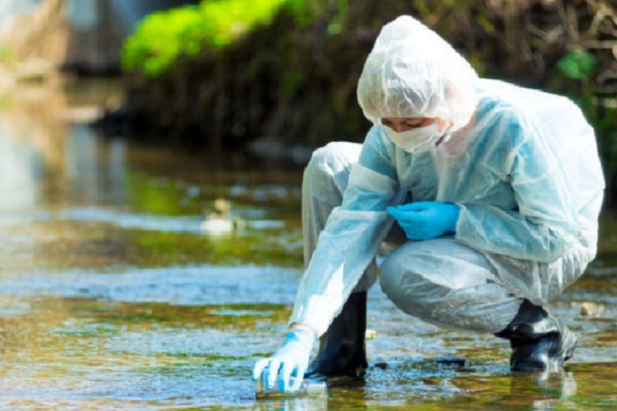 Una organizaci&oacute;n ambiental se declar&oacute; en estado de alerta