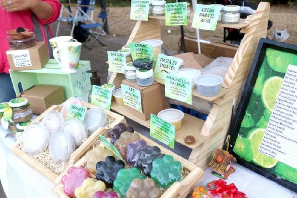 Se entregar&aacute;n semillas de especies nativas para todos los participantes.