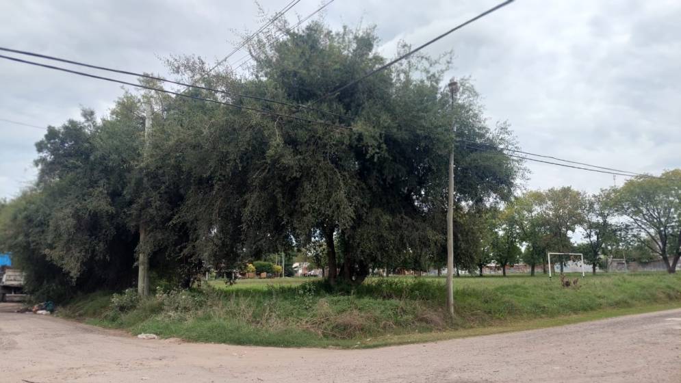 Es la tercera reuni&oacute;n de frentistas.